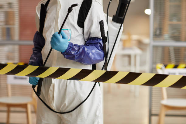 Professional Hoarding Cleanup technician working in Westminster, TX
